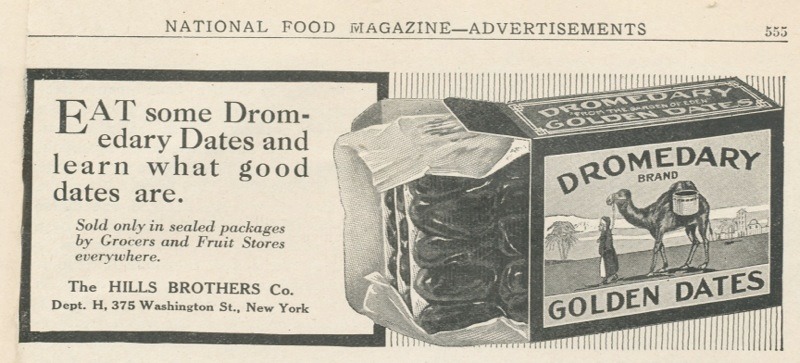 Dromedary ad